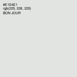 #E1E4E1 - Bon Jour Color Image